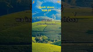 murrotal surah 'abasa ayat 28 dan artinya