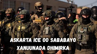 Ice Oo Sababayo Xanuunada Dhimirka Oo Laga Shirayo