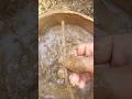 Washing Im Termitomyces mushroom #shorts