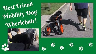 Best Friend Mobility Dog Wheelchair (Large)  September 2021
