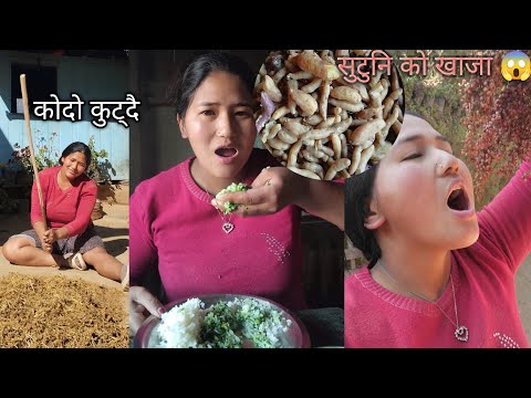 Aaja Balla Kodo Kutera Sakiyo Villagelife 19 08 2082 