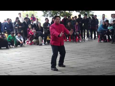 Видео: 2011.Zhang Shao Feng.Five Ancestor Style Sanchin (Go Cho)