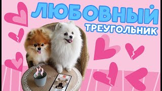 КАССИ ИЗМЕНИЛА ДЖОНИ! ОСКАР БУДЕТ В ШОКЕ😱 Ч.1