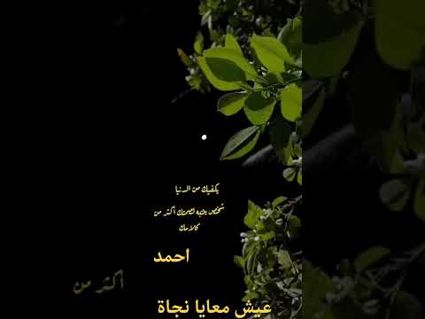 عيش معايا نجاة