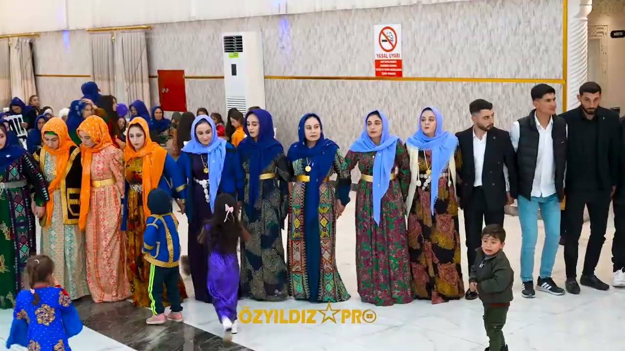 Viranşehir Düğününde SÜPER  #halay #halaybasi #düğün #halaymashup