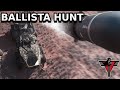 Ballista Hunt