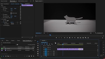 How to reverse a video in Premiere Pro | Dragonframe stop-motion post production | Beginner tutorial