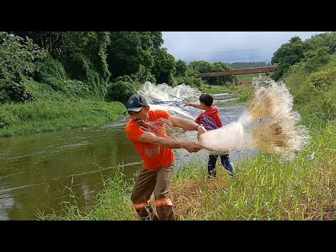 NET FISHING HAS ALREADY CATCHED TUCCUNARE, THIS IS UNBELIEVABLE