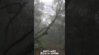 Mencekam di hutan #shorts #mystery #jungle #hutan #angker #suara #burunghantu #seram