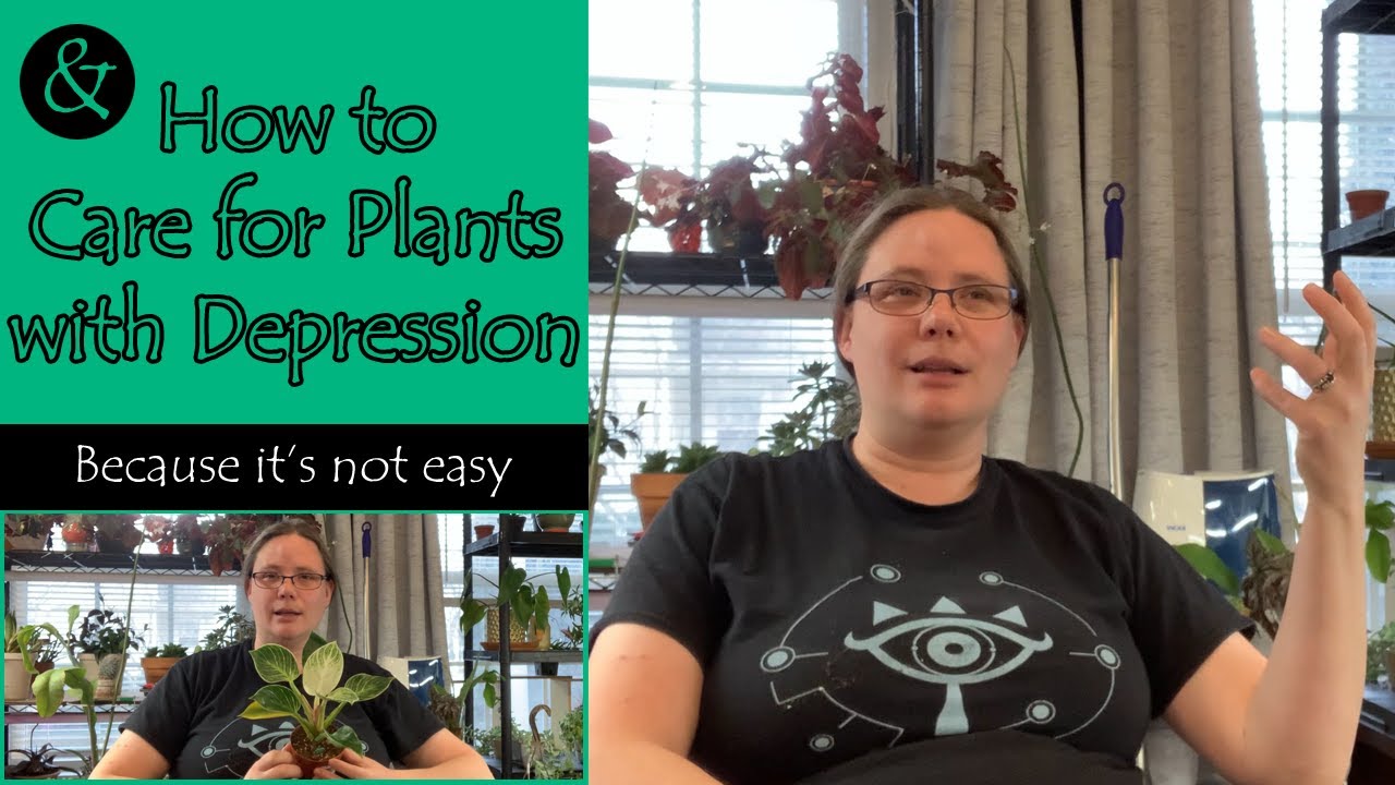 & How to Care for Plants with Depression YouTube