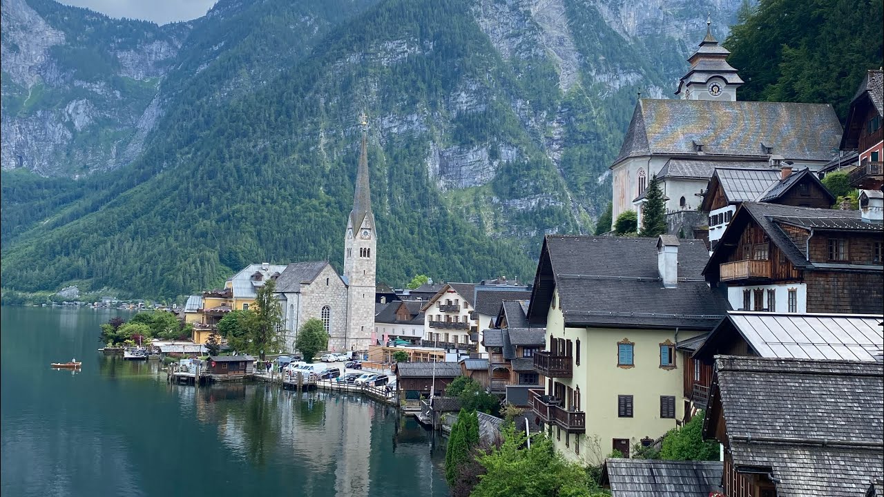 Avusturya Hallstatt’da Kraliçe Karınca Avı! Kraliçe Karınca Nasıl Bulunur? Kraliçe Karınca Arama