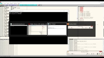 Binary Patching Demo