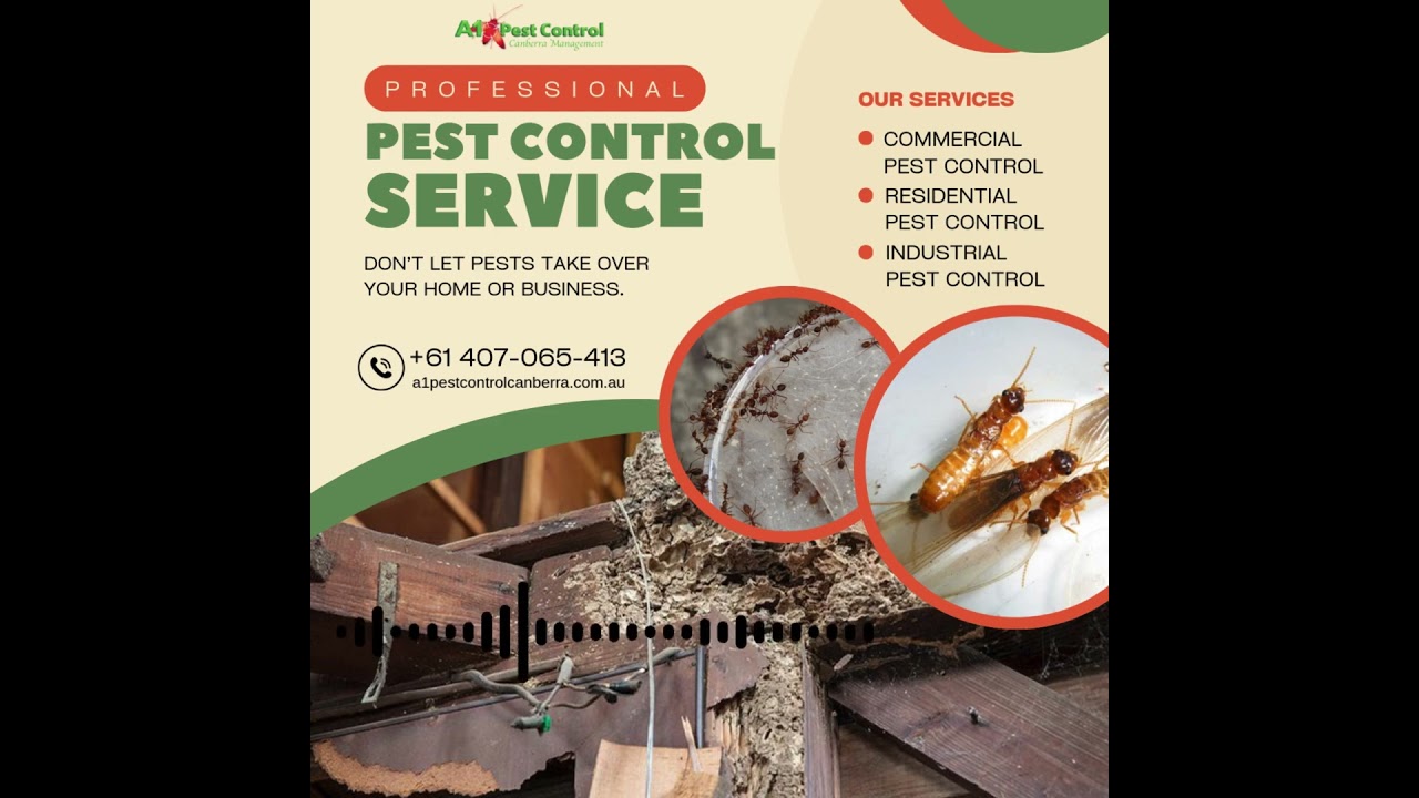 Professional Pest Control Services with A1 Pest Control Canberra