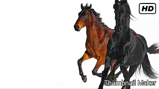 OLD TOWN ROAD INSTRUMENTAL BASS BOOSTED