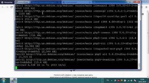 Mutillidae install on Debian8