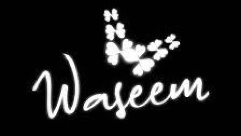 Waseem Name Status/What