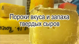 Пороки вкуса и запаха твердых сыров.