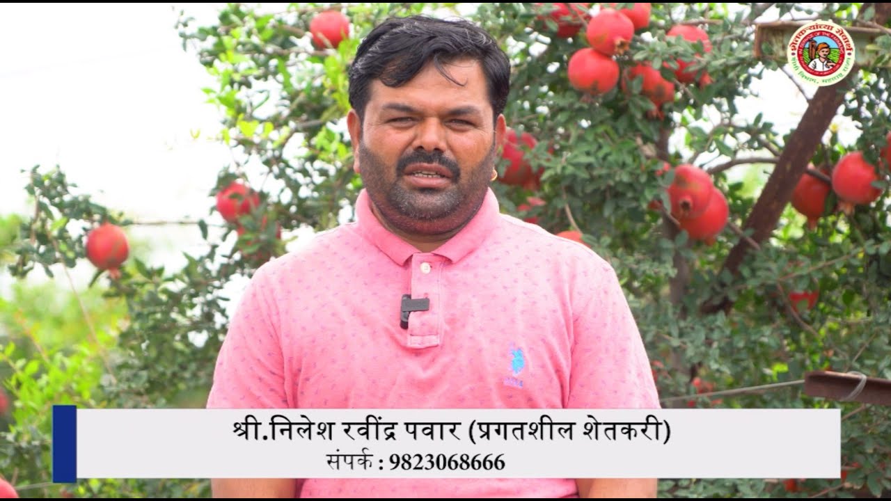 #यशोगाथा  डाळिंबातून करोडोंची कमाई करणारा शेतकरी | कृषी विभाग महाराष्ट्र शासन