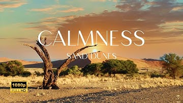 Sand Dunes Background Music, Helps Study, Work, Workout And Stress Relief | CALMNESS 🏝😌