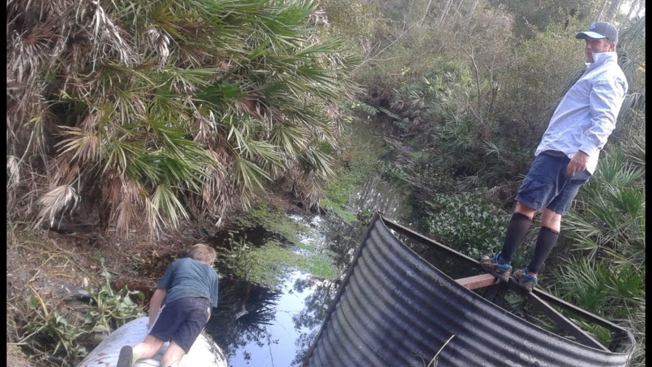 camera iphone 8 plus apk Animal Encounters w/ a young Damian Harper (old footage)