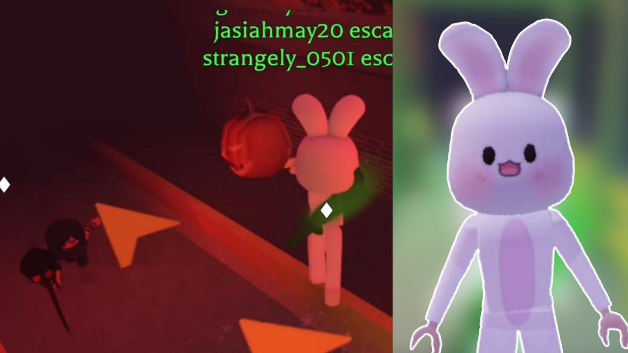 Can Bunny Escape Against Pro killer? Survive the killer YouTube