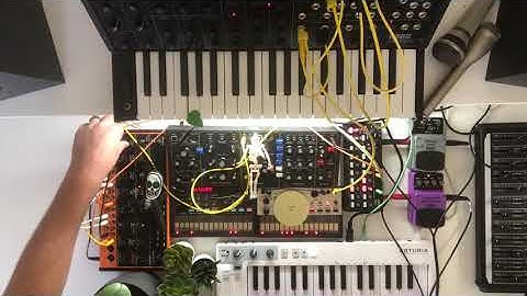 Experience 95 • Korg • MS-20 • SQ-1 • Volca Keys • Volca FM • Behringer • Model D • Crave • VD400