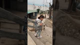 Hòn Dáu Ll Đà Lạt Thu Nhỏ W. Suriii