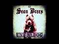 Underdog  sean brees prod  seanbrees  