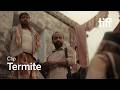 TERMITE Clip | TIFF 2026