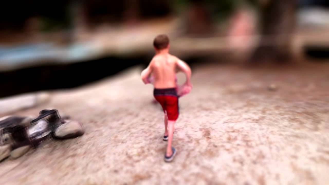 MINIATURE SEQUOIA - a 3D travelogue