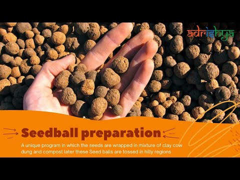 Seedball Preparation | Sakshi Trust | Auroveda, Yadamadu Village - YouTube
