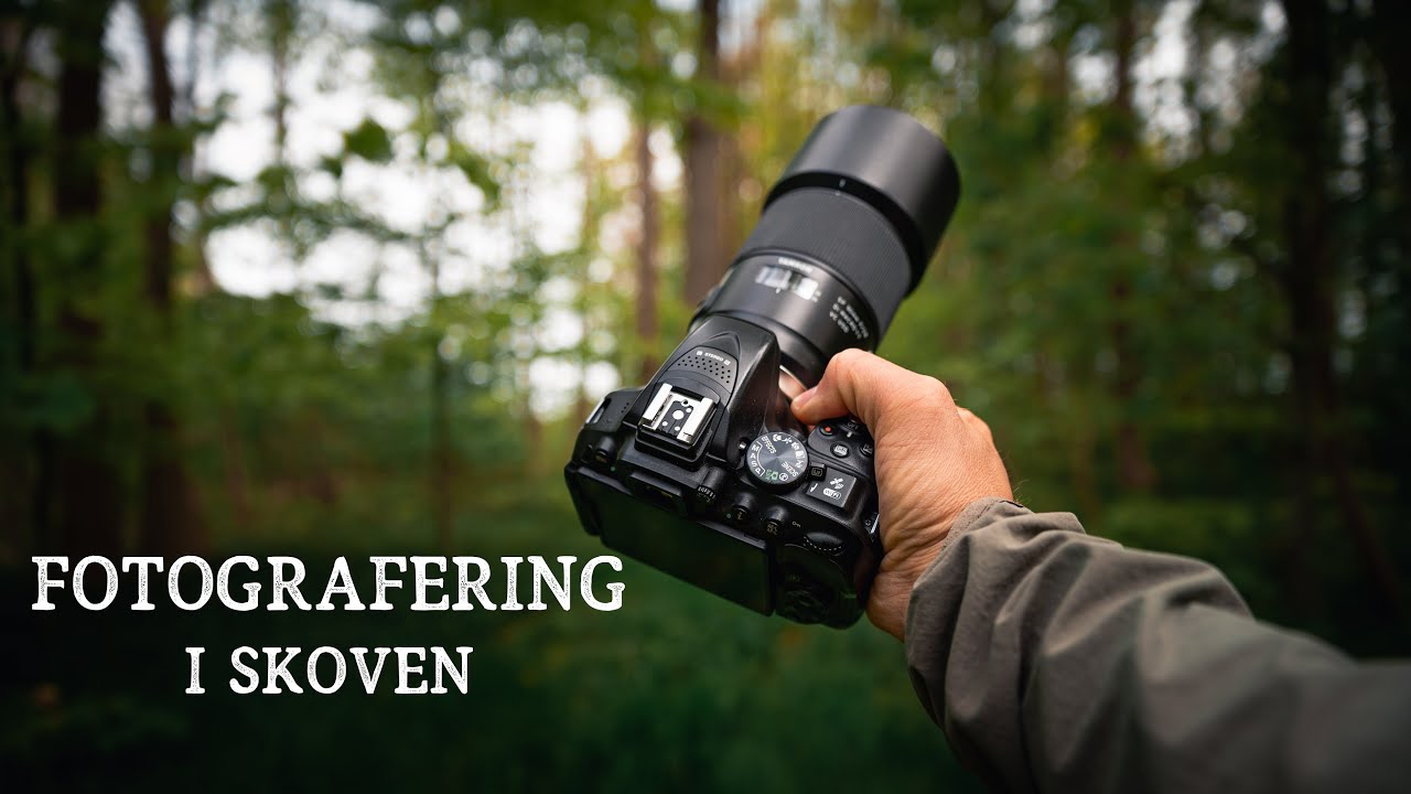 Skoven når den er smukkest // Naturfotografering