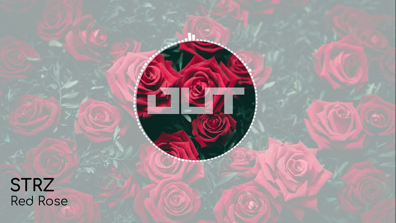 STRZ - Red Rose [Outertone Free Release]