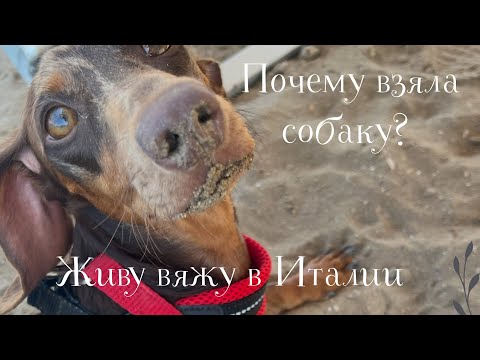 17.06.2025 Вторник! Проводила сестричку! Почему взяла собаку?