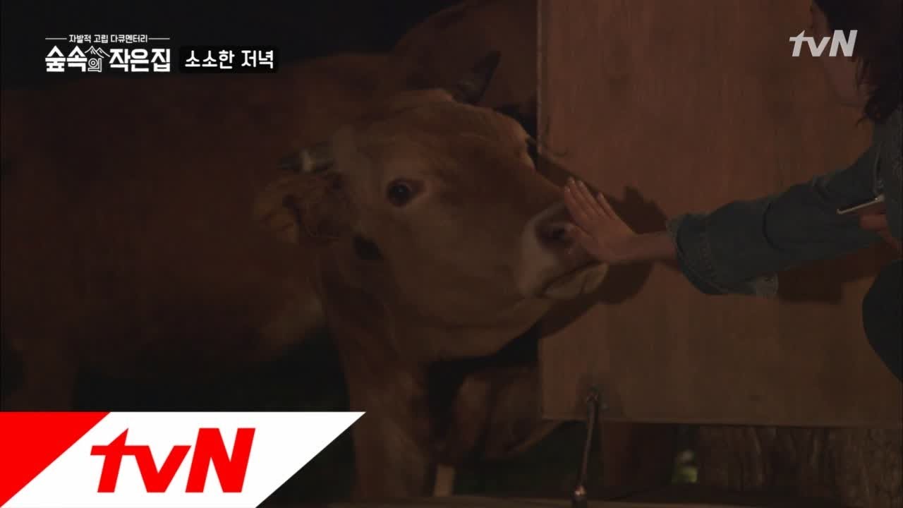 Little House in the Forest 박신혜의 야외 저녁식사에 몰래온 손님, ′소′ 180601 EP.9