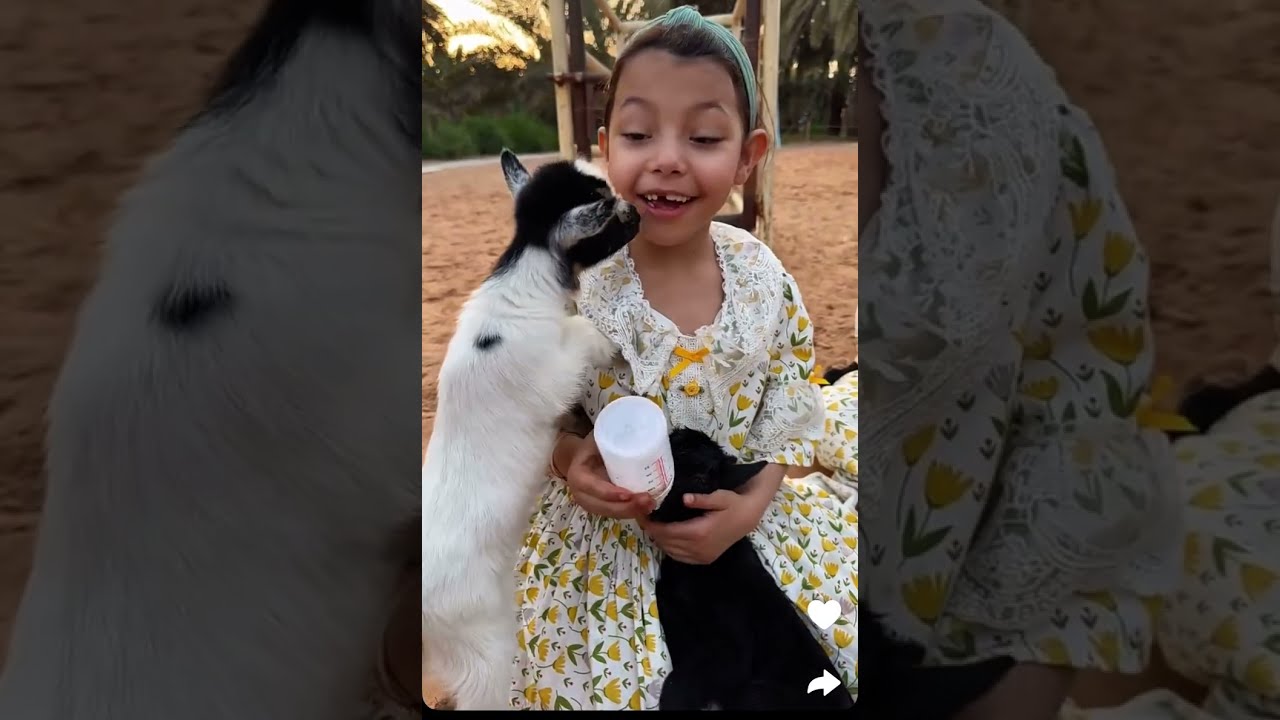 يومياتنا في المزرعة☘️💐🌸🪴🪷