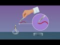 Understanding Natural and Man-Made Fibers