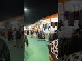 Ganpati Ji in Trade Fair #shorts #short #shortvideo Satna Vyapar Mela