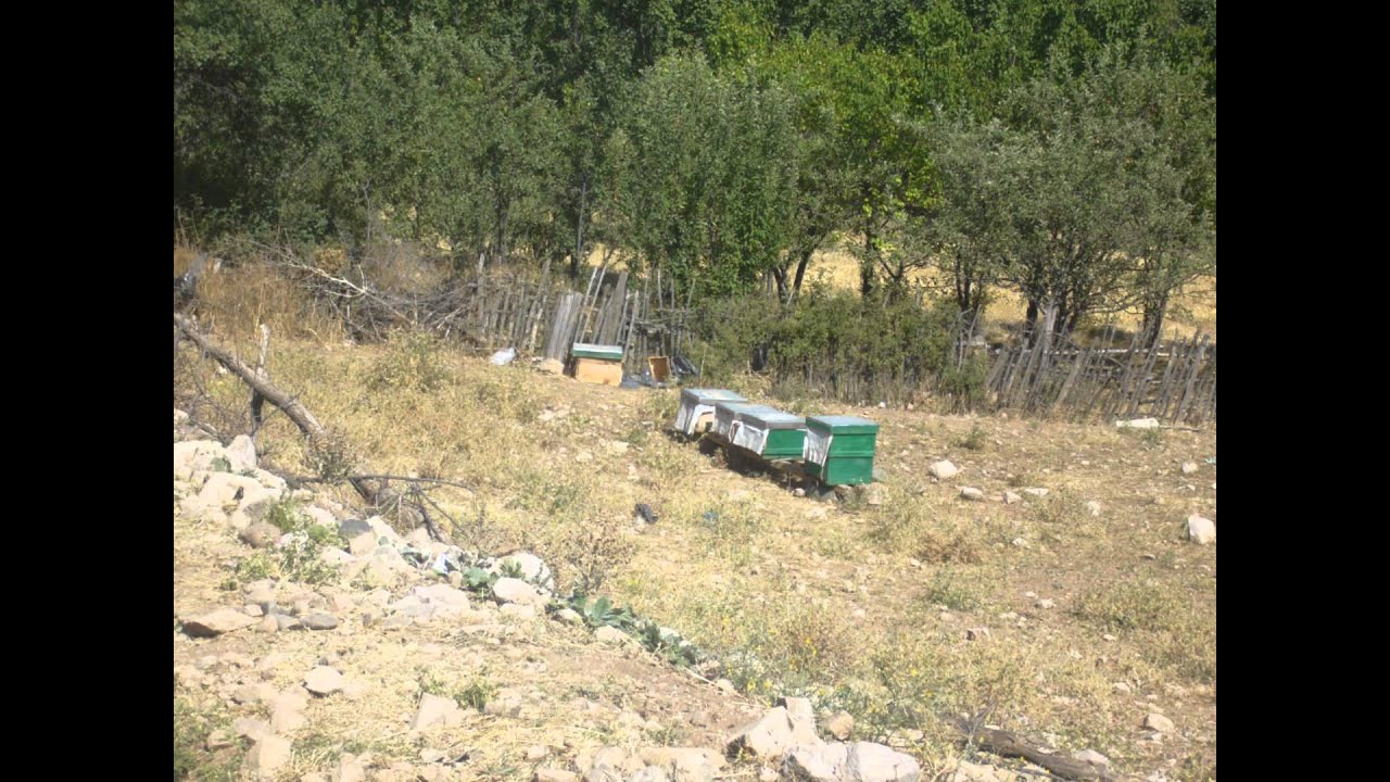 SUŞEHRİ ESKİMEŞE KÖYÜ