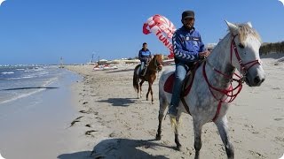 A Sunny Day in Djerba, Tunisia | Evan Edinger Travel screenshot 2