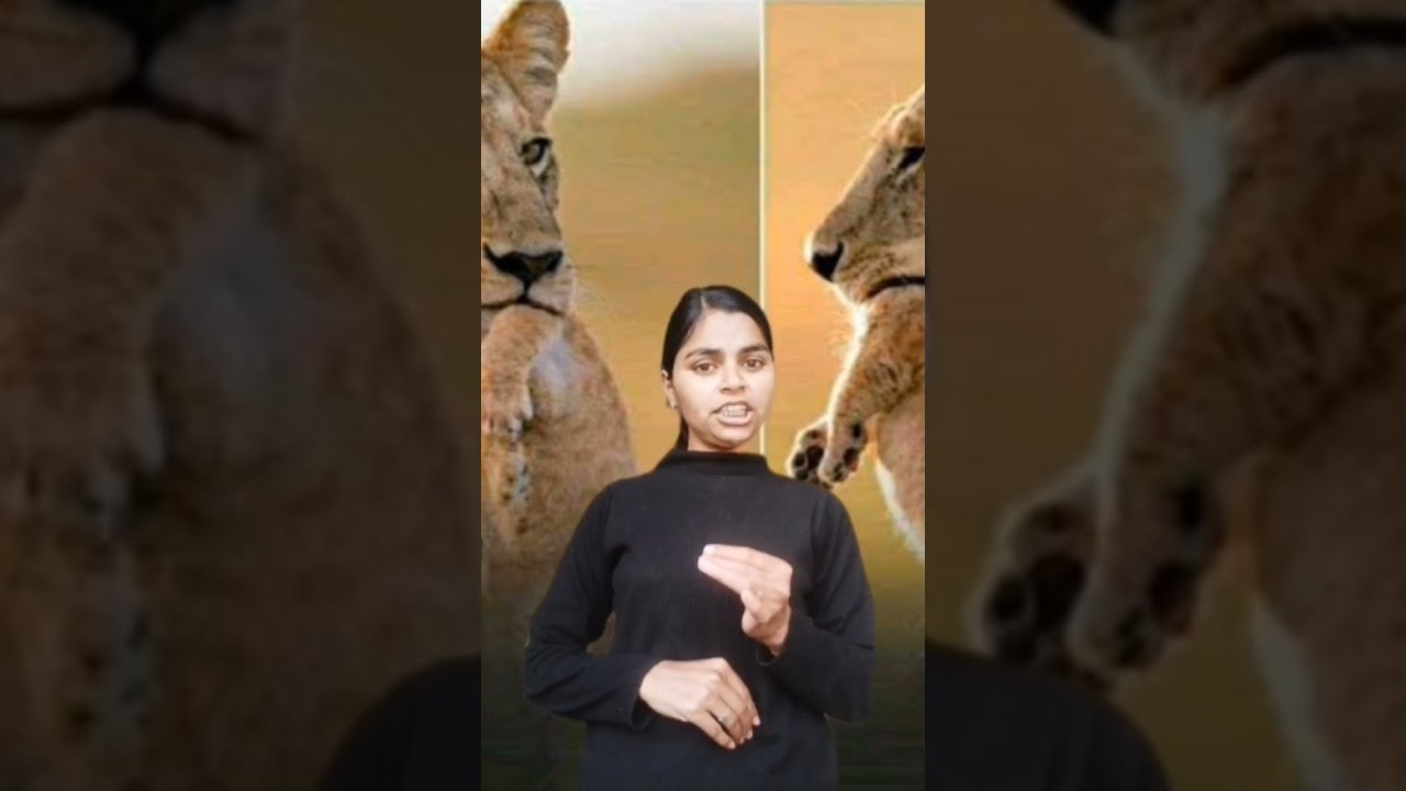 हर चीज़ वैसी नहीं होती जैसी दिखती है… 