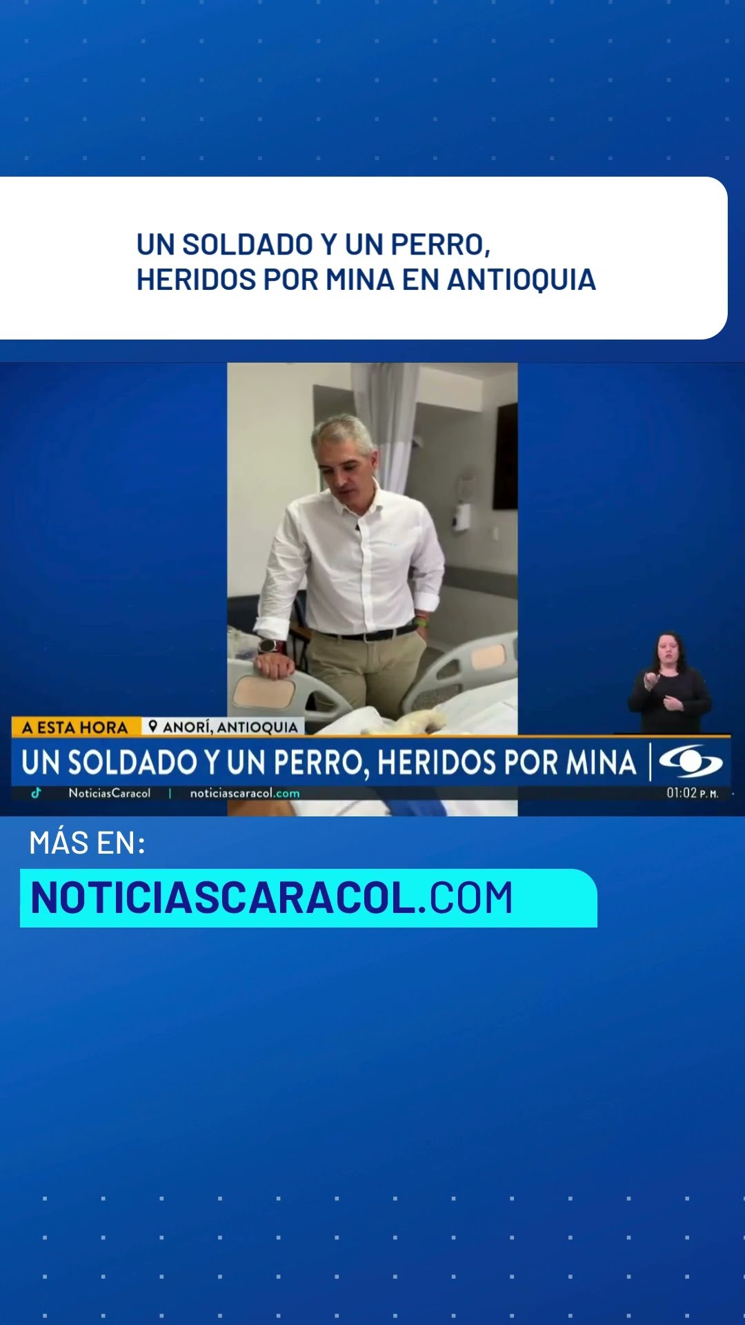 En Antioquia un soldado y un perro resultaron heridos por la explosión de una mina