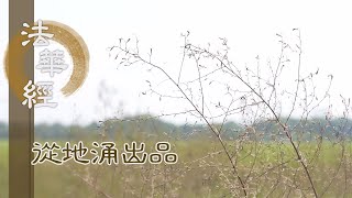 【靜思妙蓮華】法華經從地涌出品 - 調禦諸惡 人間合和 - 20230724 第1464集