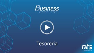 Business Cube - Treasury - NTS Informatica