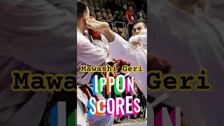3 Clean Scores from Mawashi Geri! 🔥 Deadly Karate Kicks!