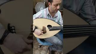 Akustik Elektro Ud/Acoustic Electro Oud.