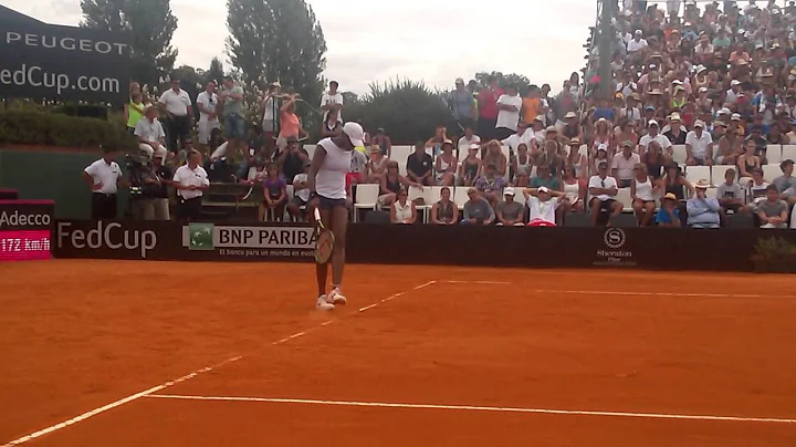 FedCup2015: Maria Irigoyen vs Venus Williams MP