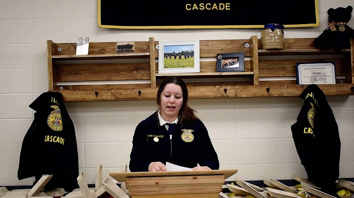 Kirsten Cummings Prepared Public Speaking Sheep Dy...