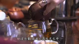 万法是因为众生的业报在空性里发现的 易度门 聊天室汇辑2018年3月