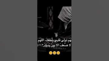 قرآن كريم بصوت القارئ: شريف مصطفى || أجمل حالات واتس اب دينيه || تلاوة خاشعة 🌿